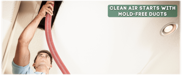 Air Duct Mold Removal in Frederick MD