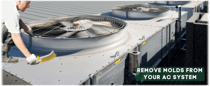 HVAC Mold Removal Frederick MD